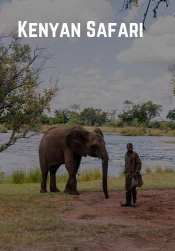 Kenya wildlife safari packages