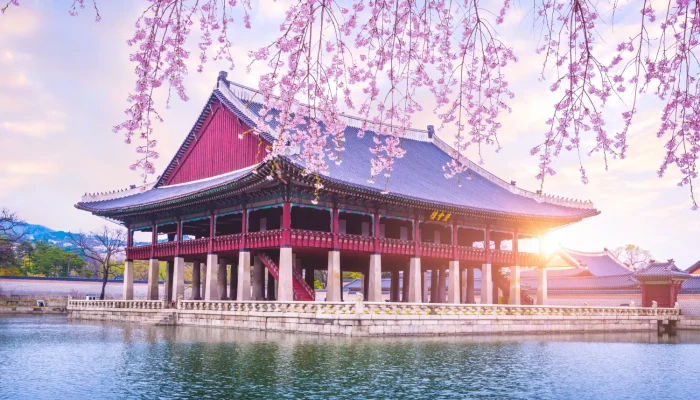 gyeongbokgung-palace-with-cherry-blossom-tree-spring-time-seoul-city-korea-south-korea
