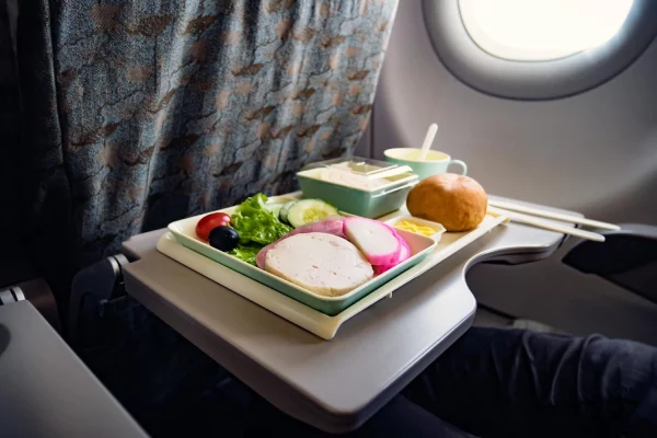 meal-economy-class-airlines-food-plane-feed-passengers-food-set-closeup-top-view-sausage-with-salad-bread-dessert-plate-folding-table-plane
